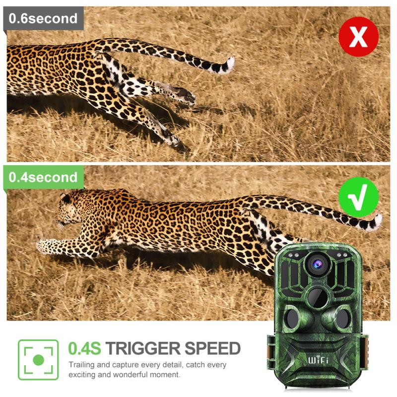 Transmission en temps réel des images et vidéos