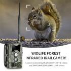 LTE 4G matkapuhelinseurantakamera 30MP 4K langaton kamera villieläinten seurantaan 3 PIR120° tunnistusalue HD ulkona vedenpitävä metsästys infrapuna yönäkökamera (eurooppalainen standardi)