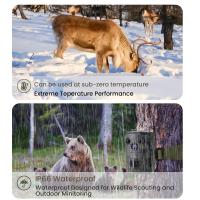 Come Resettare Telecamera Hikvision?