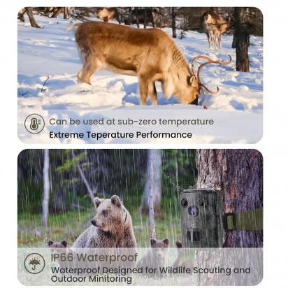 Come Resettare Telecamera Hikvision?