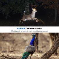 Quel Filtre Nd Mavic Pro Temps ?