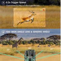 Which Trail Cameras Are The Best ?