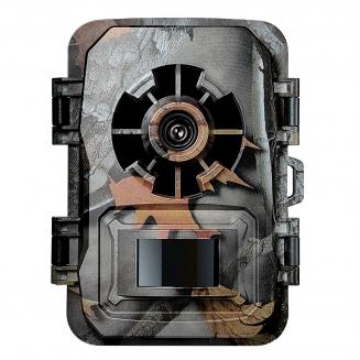 1296P 24MP villieläinkamera, polkukamera 120° laajakulmaliikenteellä uusin sensorinäkymä 0,2 s laukaisuaika IP66 vedenpitävä|vaahteranlehti