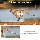 24MP*1296P night vision, 120° wide-angle 0.2S trigger 2-inch screen tracking camera maple leaf color*2 sets