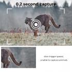 1296P 24MP villieläinkamera, polkukamera 120°:n laajakulmaliikenteellä Uusin sensorinäkymä 0,2 s laukaisuaika IP66 Vedenpitävä|valkoinen kivi