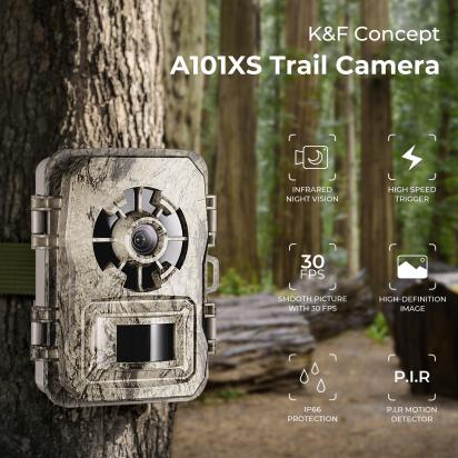 Que Es Una Pantalla De Proyector?