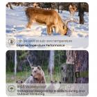 1080P 20MP Wildlife Camera Trail kamera Night Vision 0.2S Trigger Motion Aktivoitu IP66 Vesitiivis 64G SD-kortti ja monitoimikorttilukija