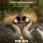 Outdoor Metsästyskamera 1080P 16MP HD Vedenpitävä infrapuna-pimeänäkö, joka laukeaa 64G SD-kortilla ja Quick Install Tree Spikella