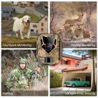 1080P 16MP HD vedenpitävä ulkoilmametsästys infrapuna-pimeänäkölaukaiseva minikamera, jossa 64G SD-kortti ja Tree Spike, monitoiminen kortinlukija