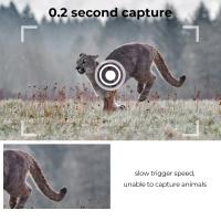 Comment Connecter Une Caméra De Surveillance Proselek ?