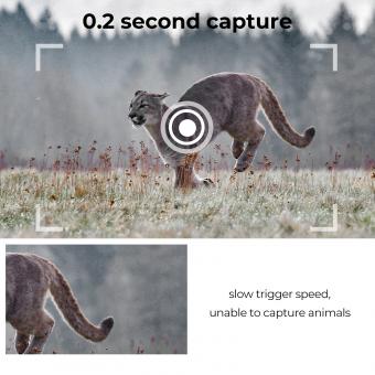 Comment Connecter Une Caméra De Surveillance Proselek ?