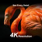 4K-sporingskamera Dobbel linse Starlight Night Vision 48MP WiFi Bluetooth-spillkamera, 120° deteksjonsvinkel 0,3 sekunders utløsertid, IP66 vanntett jaktkamera for dyrelivsovervåking