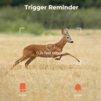 How To Use Focus Camera Strap ?