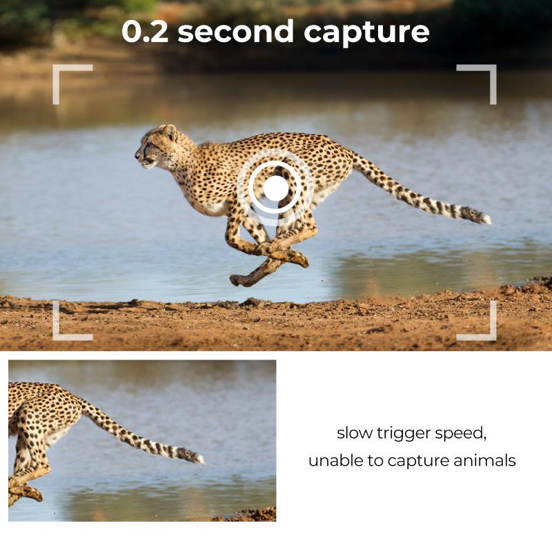 hoe werkt een wildcamera 2