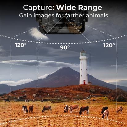 Hvad Vejer Aa Batteri?