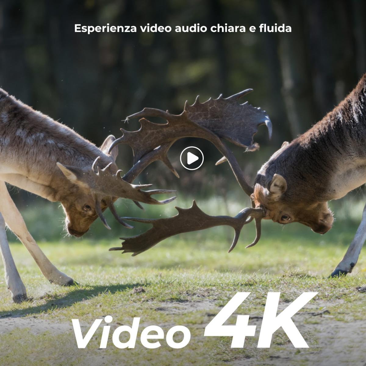 4K 48MP Wildlife Camera con sensore di movimento Visione notturna Obiettivo grandangolare 0.2s Trigger Speed ​​​​2s Intervallo PIR IP66 Impermeabile con scheda SD da 64 GB e 8 batterie AA Bark Color