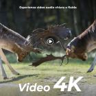 4K 48MP Wildlife Camera con sensore di movimento Visione notturna Obiettivo grandangolare 0.2s Trigger Speed ​​​​2s Intervallo PIR IP66 Impermeabile con scheda SD da 64 GB e 8 batterie AA Bark Color