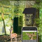 4G lavt strømforbruk LTE-jaktkamera, solcelle- og batteridrevet 2K-jaktkamera med 4W solcellepanel europeisk versjon