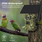 4G lavt strømforbruk LTE jaktkamera, solcelle- og batteridrevet 2K jaktkamera med 4W solcellepanel europeisk versjon + 64 GB minnekort