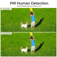 What Is The Best Surveillance Camera App ?