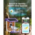 Câmera alimentadora de pássaros K&F Concept, câmera de observação de pássaros sem fio alimentada por bateria solar, alimentador inteligente de pássaros com câmera, captura automática de vídeo de pássaros e notificação de pássaros detectados, para aman