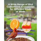 Câmera alimentadora de pássaros K&F Concept, câmera de observação de pássaros sem fio alimentada por bateria solar, alimentador inteligente de pássaros com câmera, captura automática de vídeo de pássaros e notificação de pássaros detectados, para aman