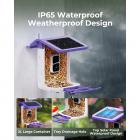 Câmera alimentadora de pássaros K&F Concept, câmera de observação de pássaros sem fio alimentada por bateria solar, alimentador inteligente de pássaros com câmera, captura automática de vídeo de pássaros e notificação de pássaros detectados, para aman