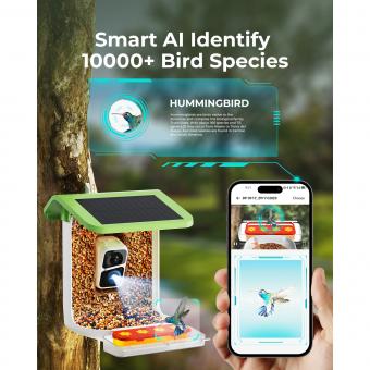 Wie Bilder Von Kamera Auf Smartphone?