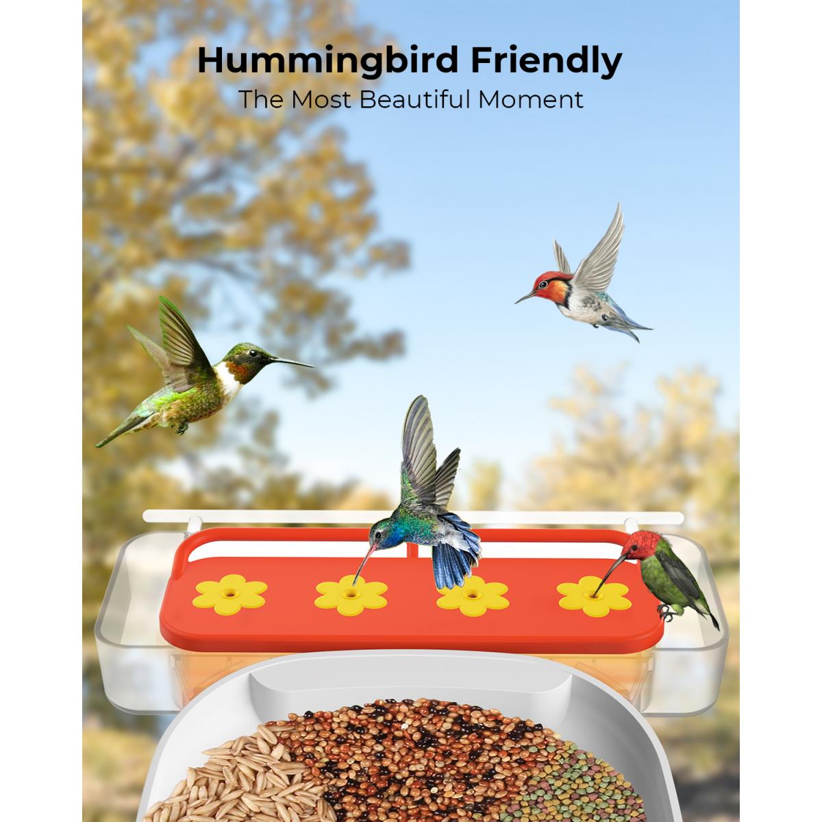 K&F Concept Hummingbird Feeder, lintujen ruokinta-automaatit, 4 ruokintaporttia seisomiseen ja juomiseen