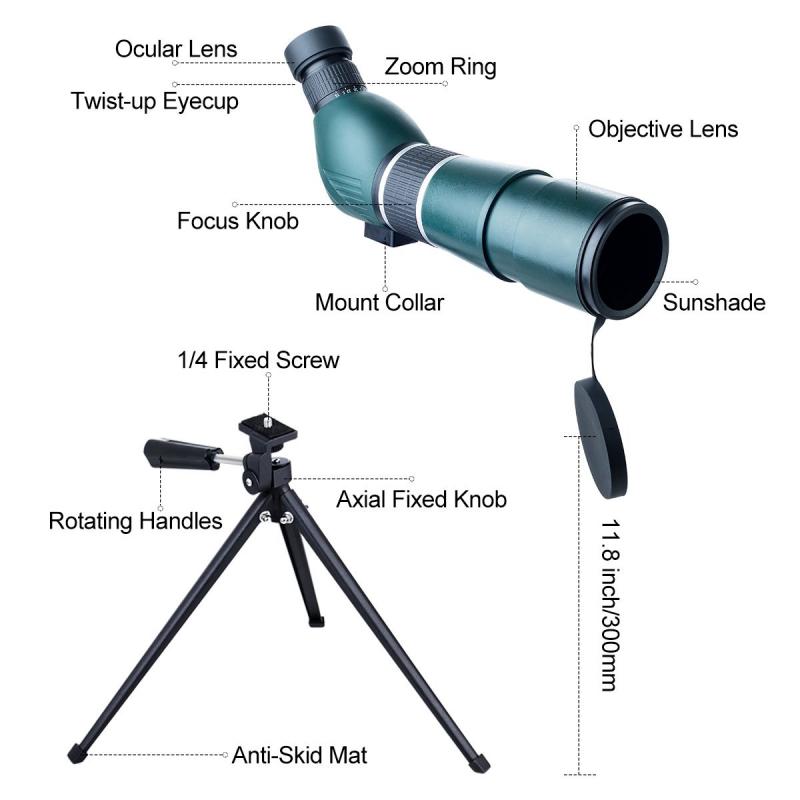 Zoom range and magnification options in Zomodo surveillance cameras