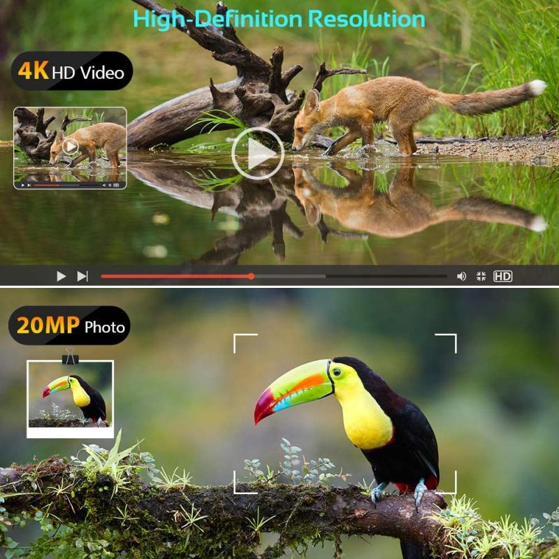 what canon full frame camera for wildlife 1