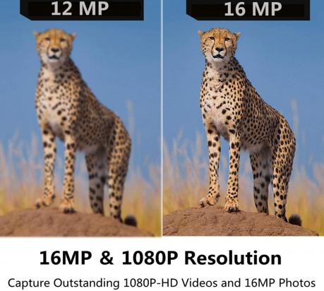 Camera Digital Que Passa Foto Por Bluetooth?