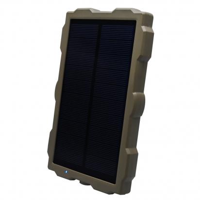 How Do Trail Cameras Work Without Internet?