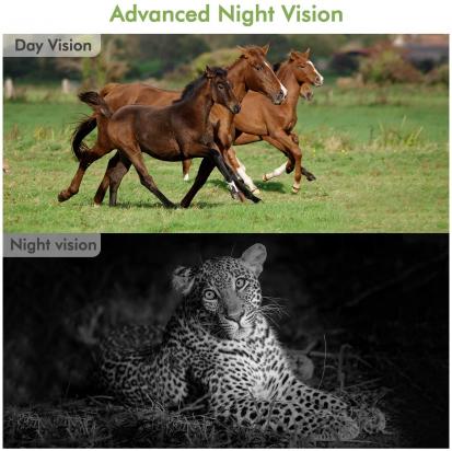 Como Gravar Videos De Cameras De Segurança ?