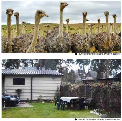 Câmera De Segurança Que Instala Tbm No Celular ?