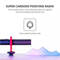 What Mic Do Streamers Use ?