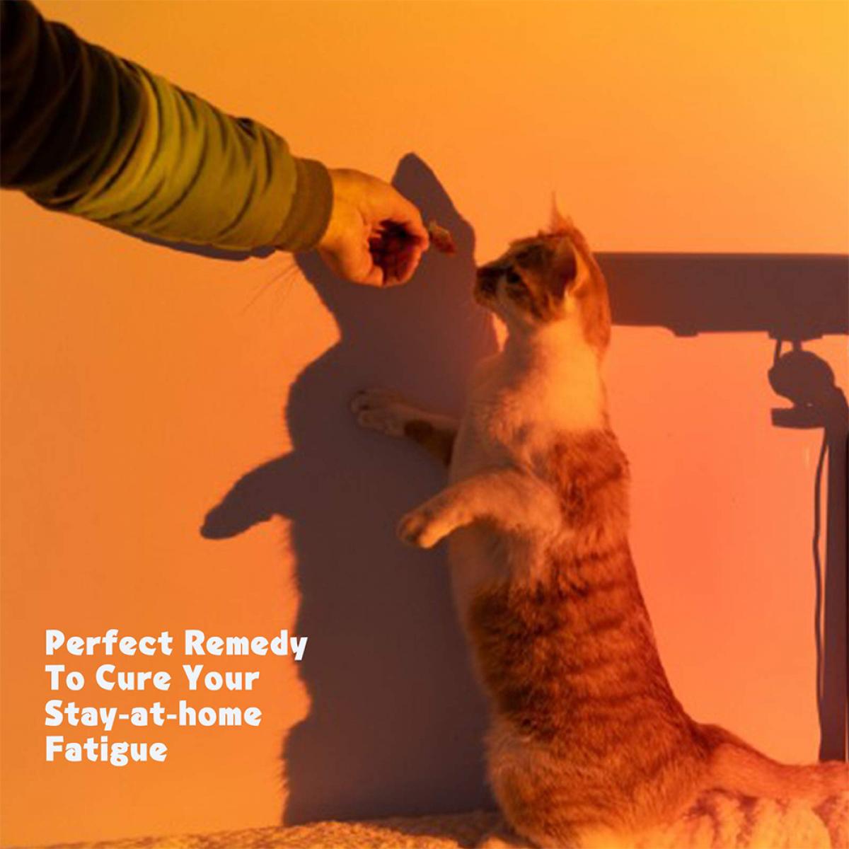 Projetor de lâmpada de piso Projeção de luz noturna de LED para sala de estar, quarto, hotel, restaurante, decoração, fotografia de streaming em tempo real (vermelho pôr do sol)