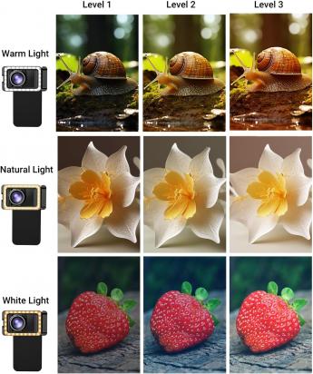 What Is Ring Flash Macro Photography?