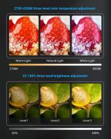 What Is A Macro Camera Lens Used For?