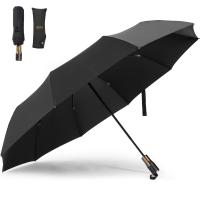 Windproof Umbrella, 53.5in Arc Canopy for 2, with 10 Fiberglass Ribs, Auto Open & Close, One-shake Dry, Kentfaith