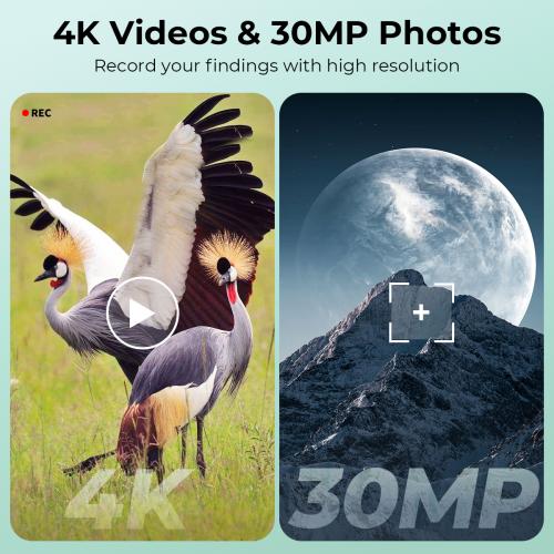 4K Video Capture Output