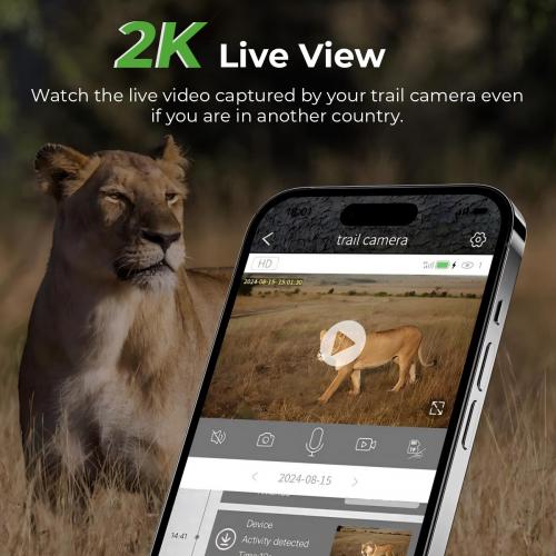 Remote Live Video Stream
