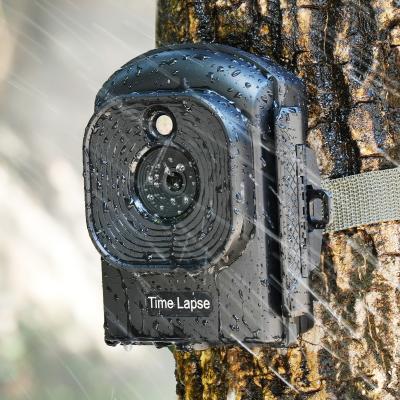 Time Lapse Camera Outdoor Construction/Plant/Weather/Life 1080P, 2.4" HD TFT LCD, Waterproof Level IP66, 6 Month Battery Life, 32GB TF Card Included