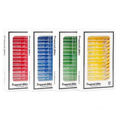 What Are Microscope Slides Used For?