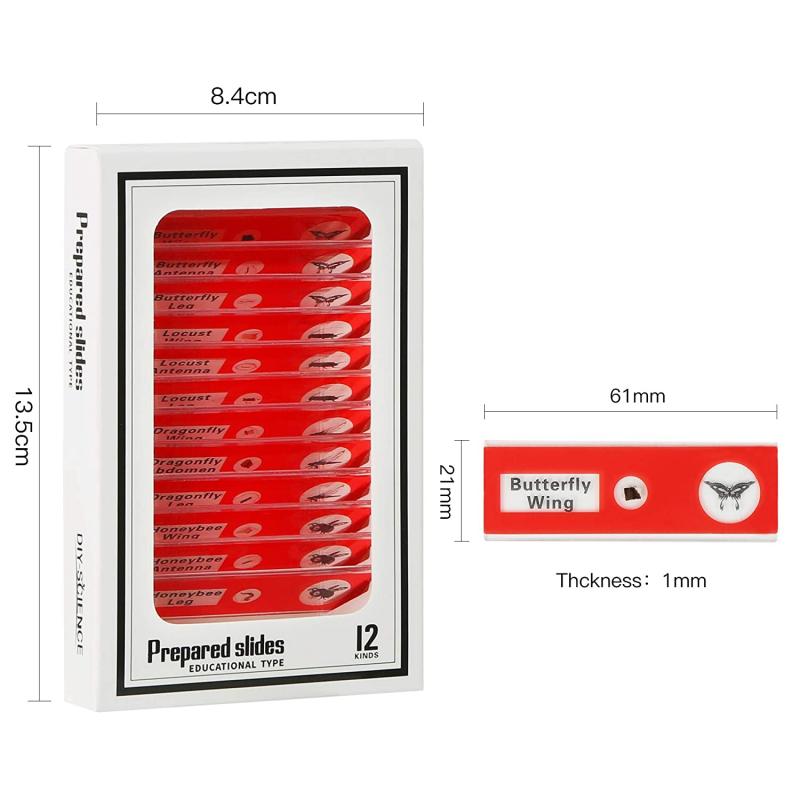 what are microscope slides used for 2