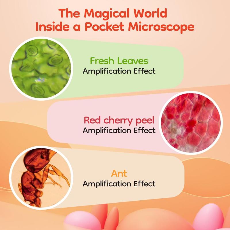 what is a good microscope magnification 4