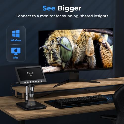 Pc Display Output Compatibility