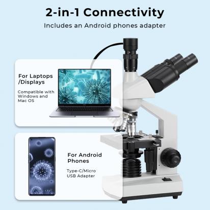 What Are Two Different Types Of Electron Microscopes?