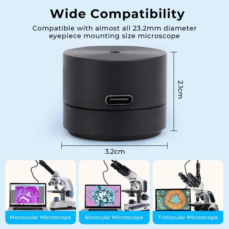 what are two different types of electron microscopes 2