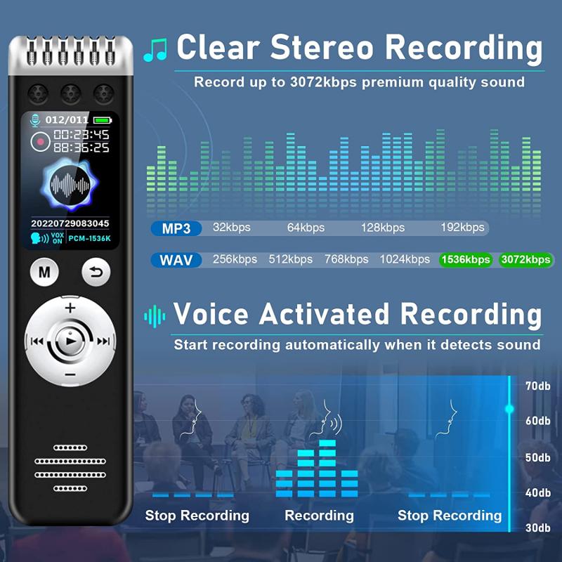 how to have your voice in screen recording 4